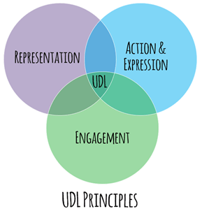 UDL Principles