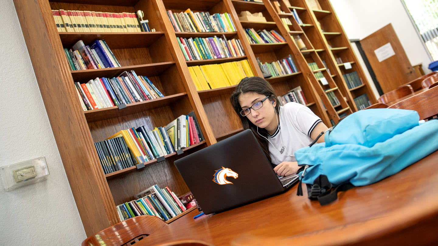 Student studying on a laptop in the Honors College