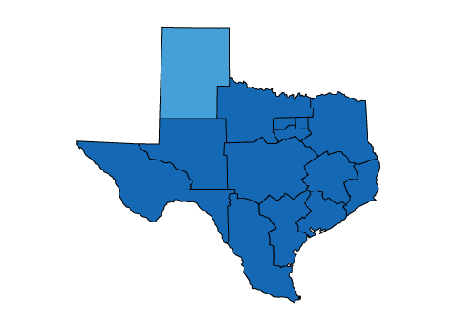 state of texas logo
