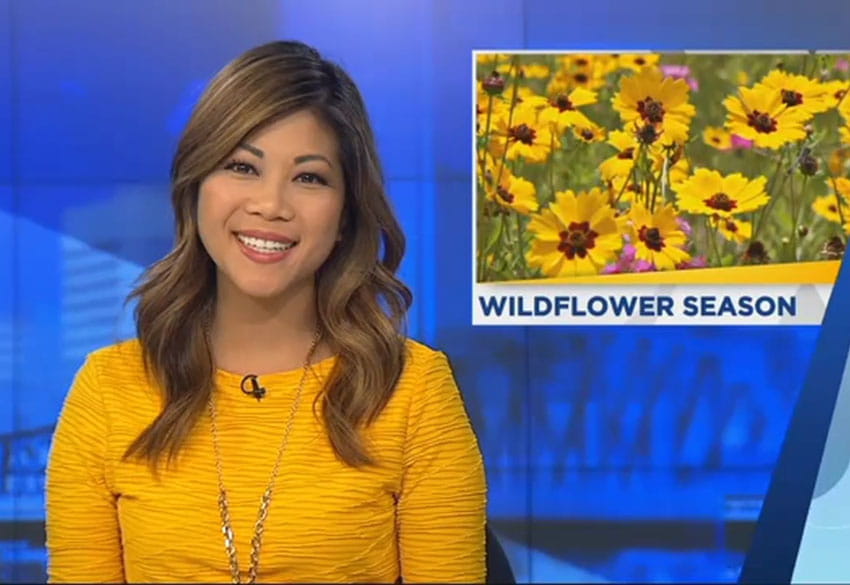 Elizabeth Dinh on the air as a news anchor. Top right picture on news screen depicts wildflower season.