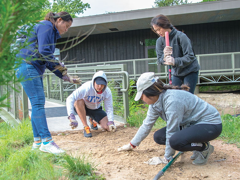 Students volunteering at the Big Event