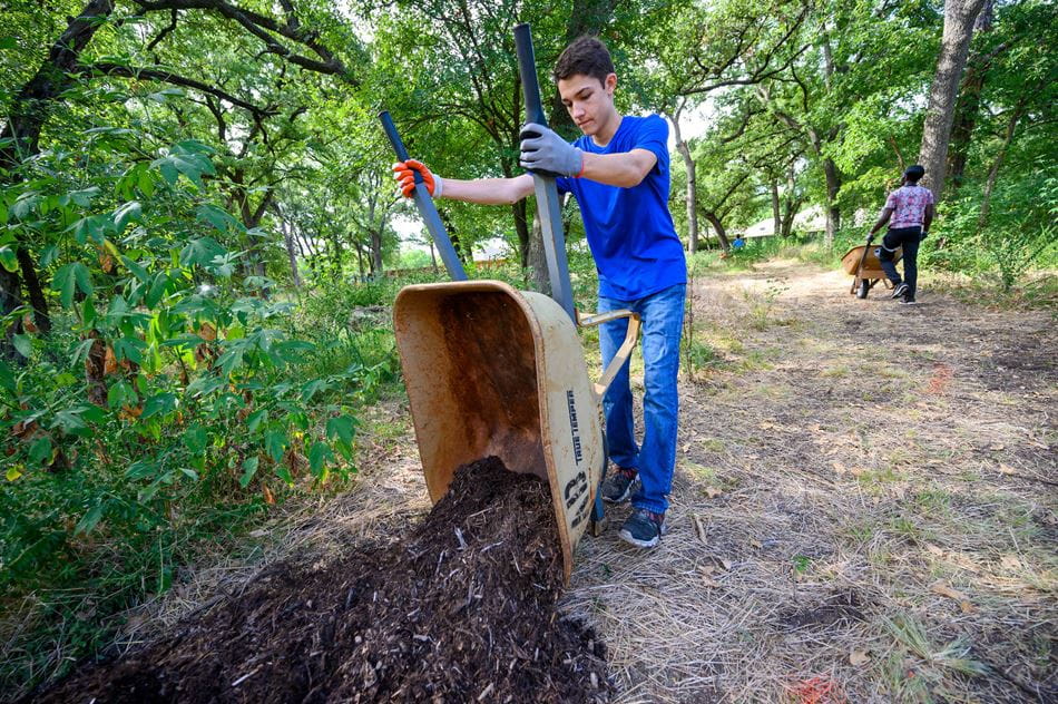 Volunteer dumping soil out of a wheelbarrow