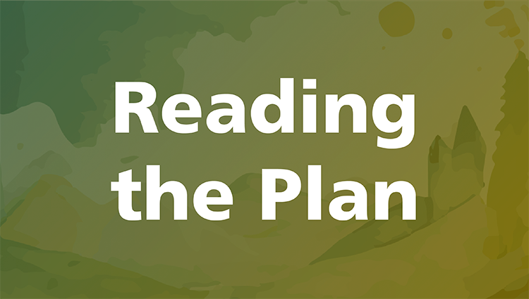 Reading the Plan cover