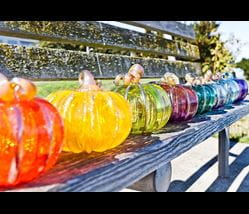 several glass pumpkins lined up in a variety of colors