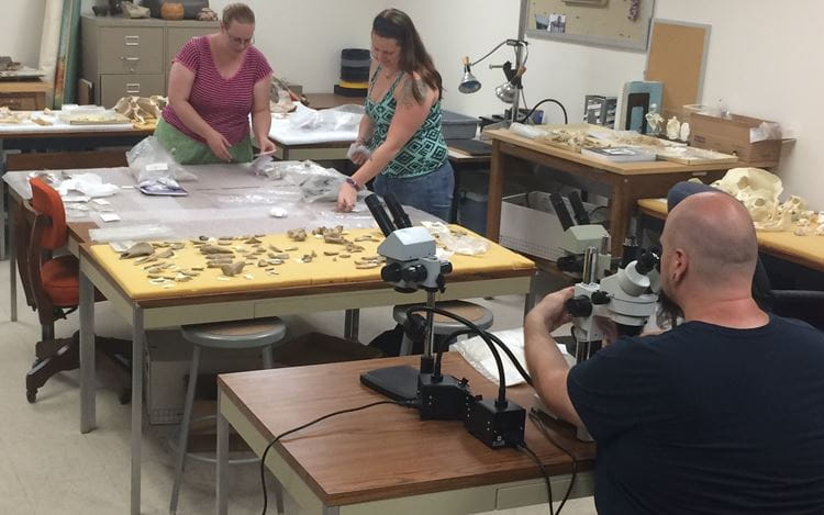 An image of three people working in the Zooarcheology lab