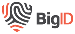 BigId logo