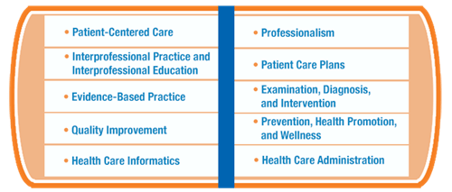 Patient-Centered Care, Interprofessional Practice and Interprofessional Education, Evidence-Based Practice, Quality Improvement, Health Care Informatics, Professionalism, Patient Care Plans, Examination, Diagnosis, and Intervention, Prevention, Health Promotion, and Wellness, Health Care Administration