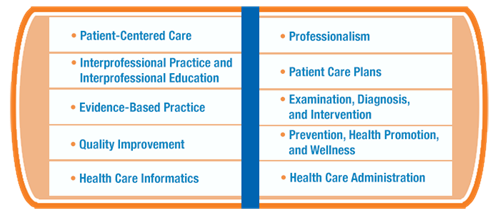 Patient-Centered Care, Interprofessional Practice and Interprofessional Education, Evidence-Based Practice, Quality Improvement, Health Care Informatics, Professionalism, Patient Care Plans, Examination, Diagnosis, and Intervention, Prevention, Health Promotion, and Wellness, Health Care Administration