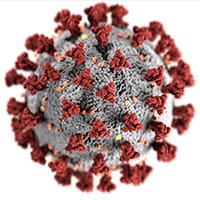 COVID-19 virus (CDC photo)