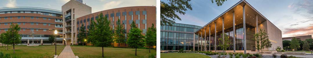 Students on campus at UTA