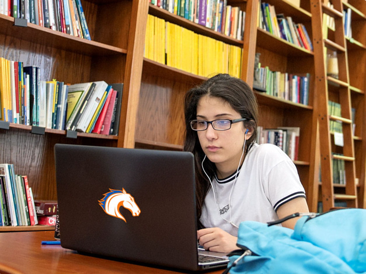 student studying on laptop in the library