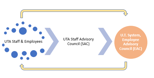 graphic that shows u t a staff and employees with arrows to the right with text u t a staff advisory council and another right arrow to an orange circle that says u t system employee advisory council
