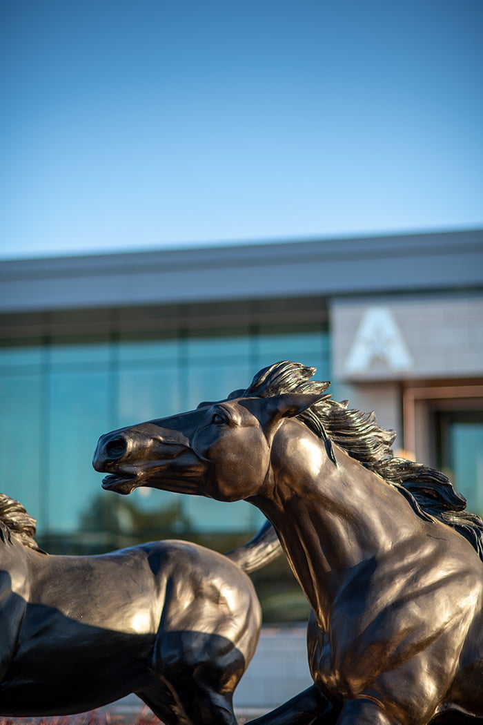 U C Horses