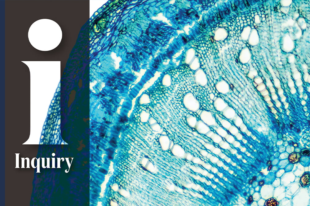 Inquiry magazine summer 2023
