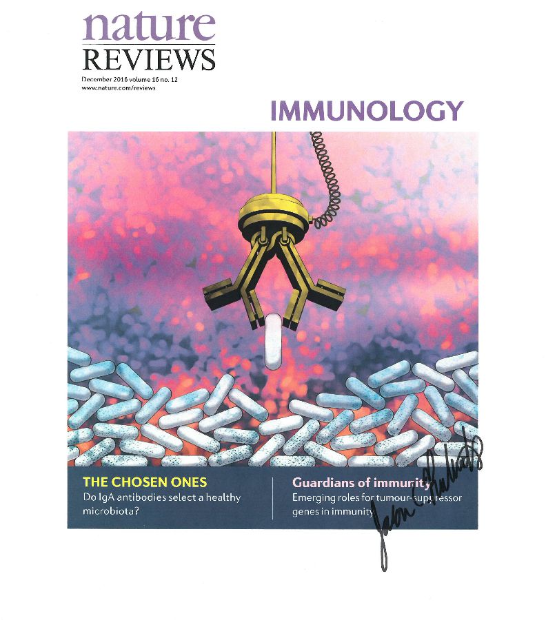 UTA biologist concludes that the body’s own immune system regulates