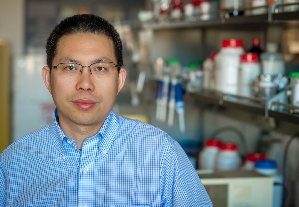 UTA Bioengineering Assistant Professor Named Fellow Of The American ...