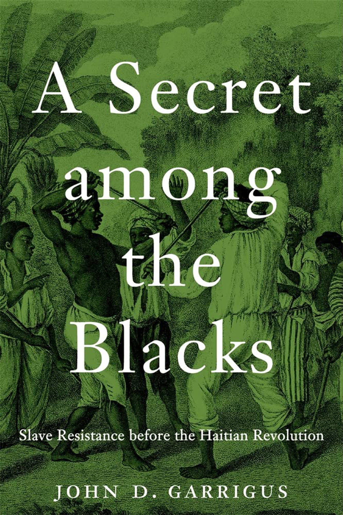A Secret Among the Blacks book cover