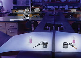 Forensics Lab