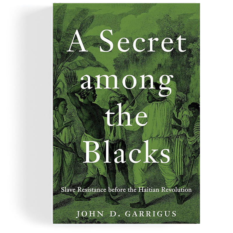 A Secret Among the Blacks book cover