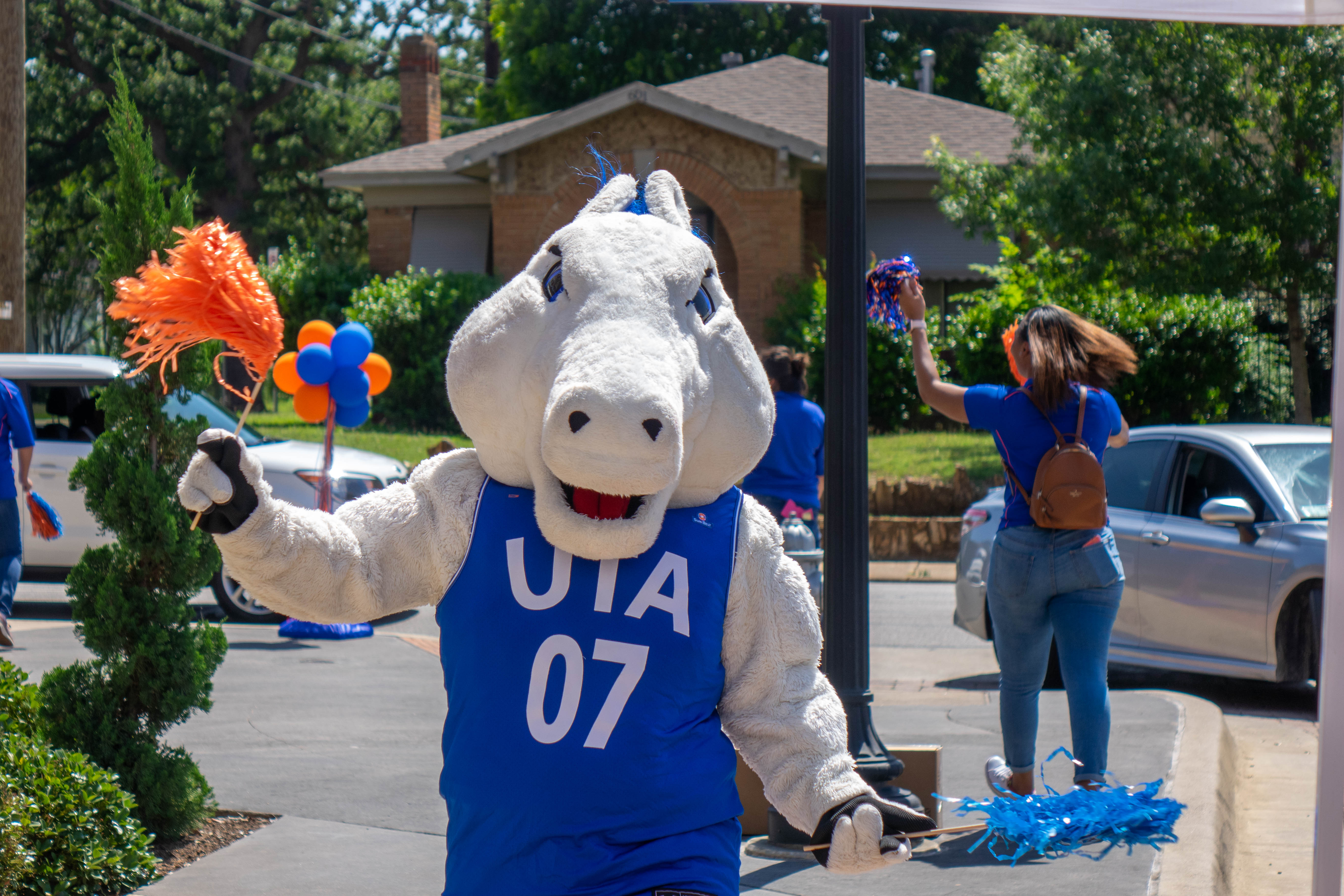 Blaze the mascot at drive-thru event May 2020" width="5472" _languageinserted="true" src="https://cdn.web.uta.edu/-/media/project/website/news/releases/2020/05/drive-thru2.ashx?la=en