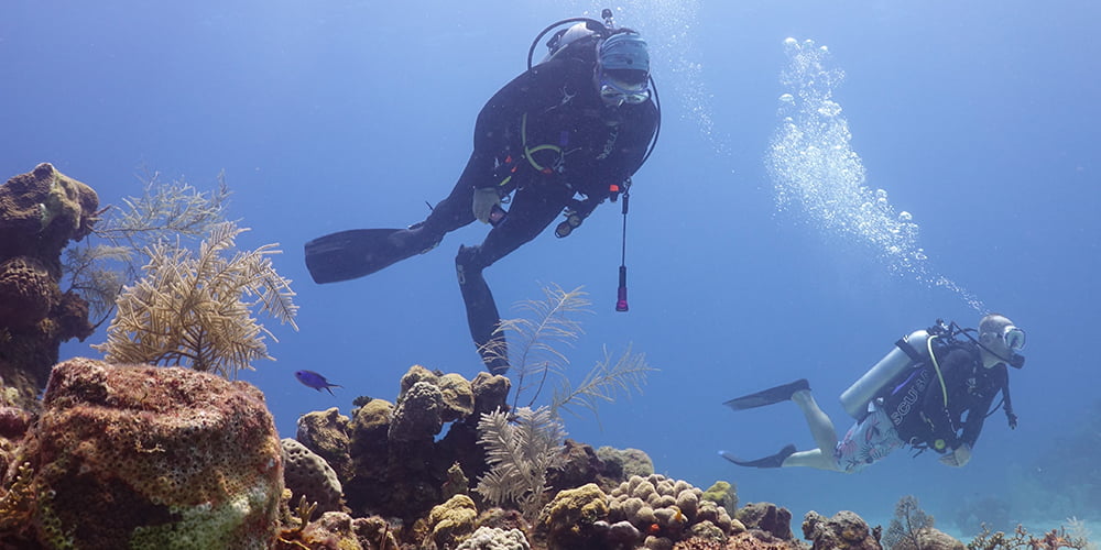 Laura Mydlarz on a recent dive