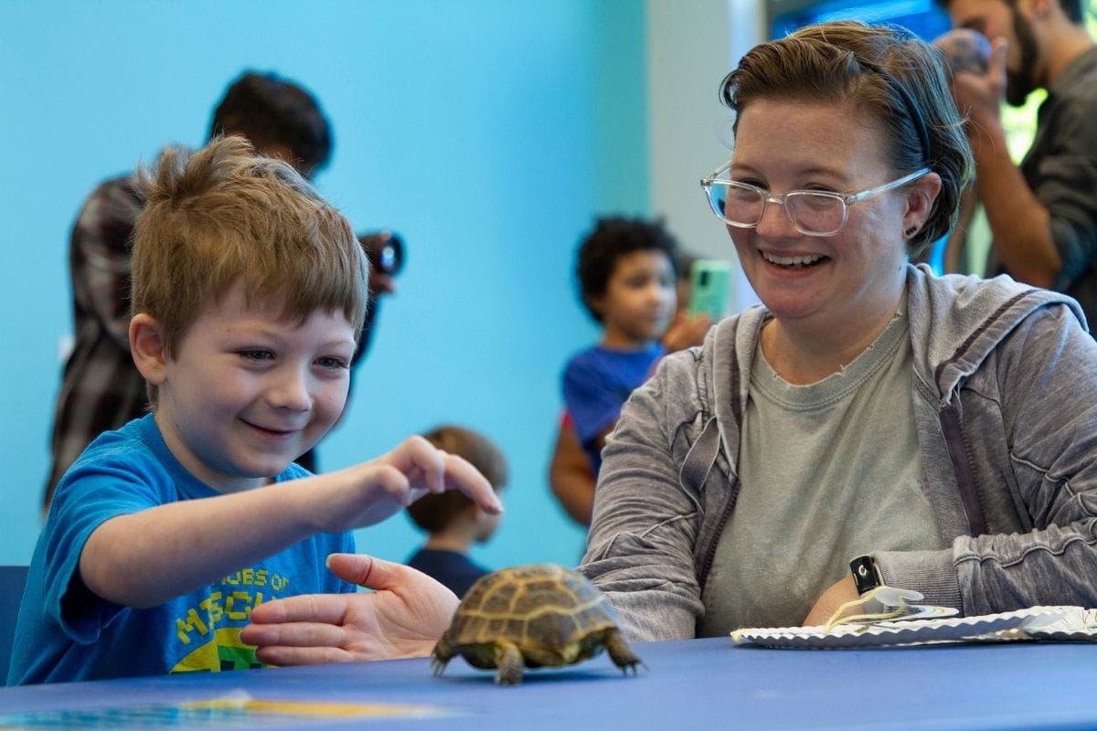 Charlie Vassar pets a turtle. " _languageinserted="true