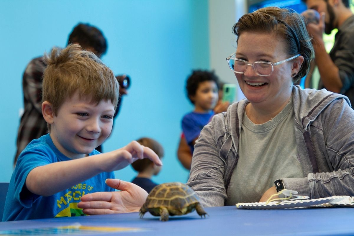 Charlie Vassar pets a turtle.