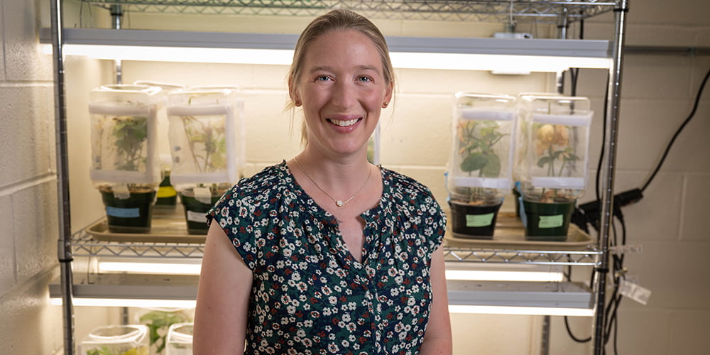 Allison Ravenscraft, assistant professor of biology