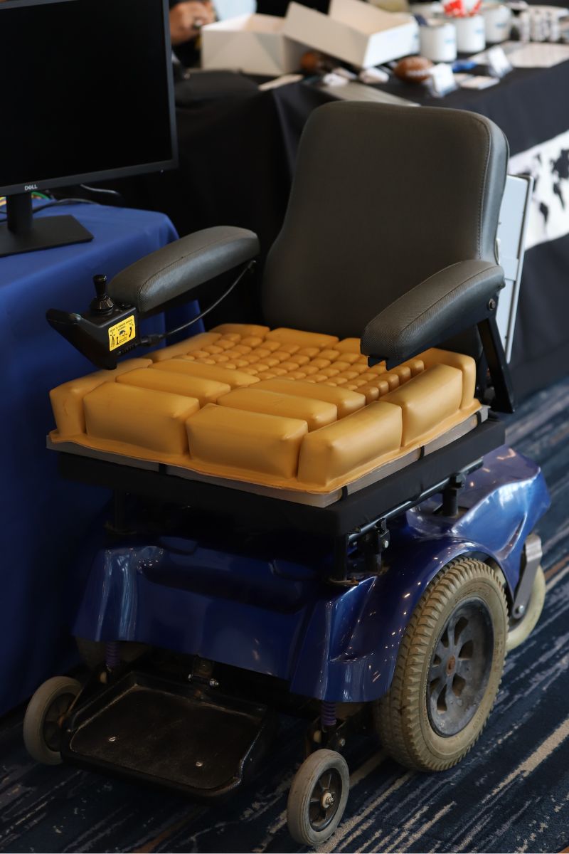 Wheelchair Cushion with Smart Capabilities Avoids Pressure Ulcers