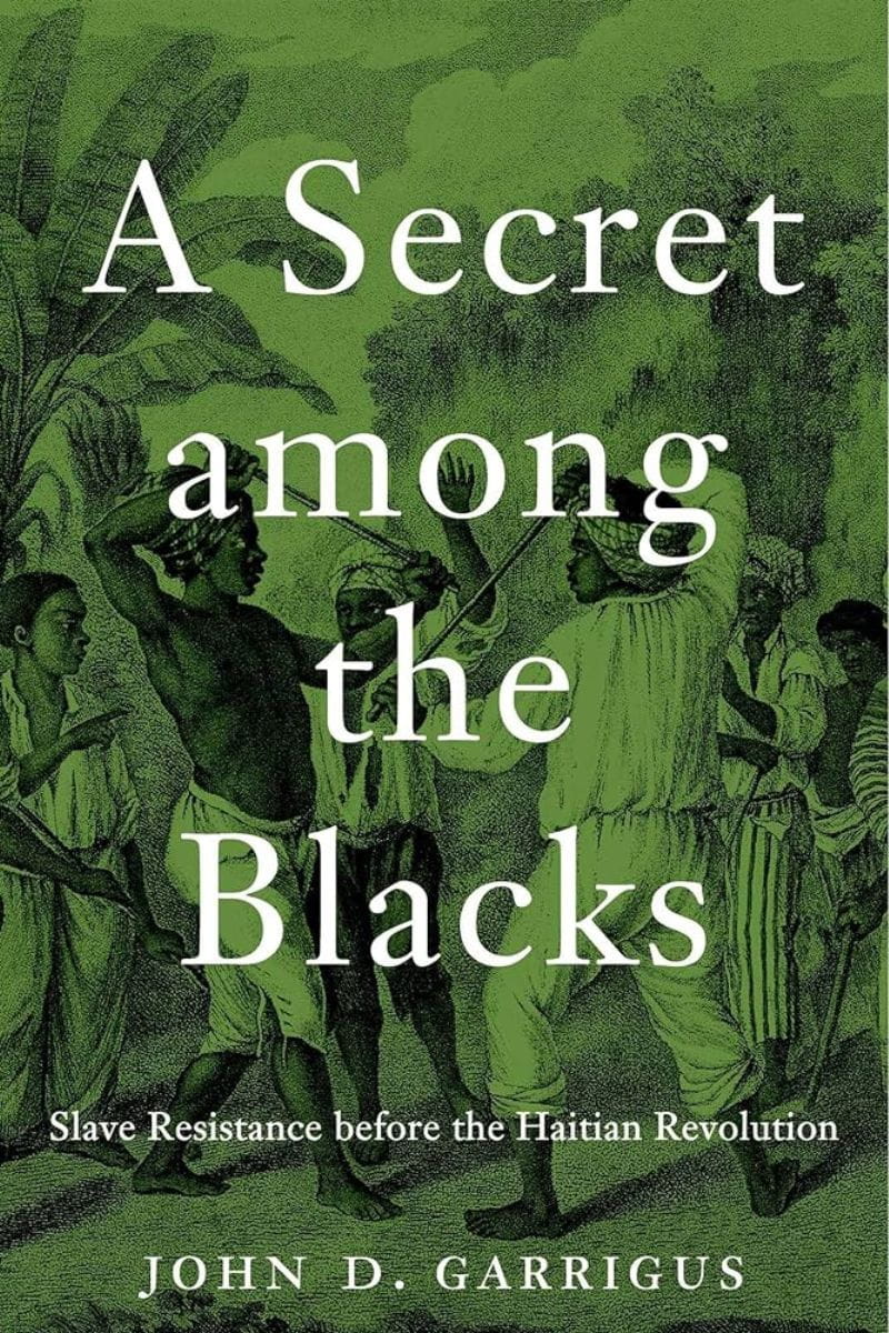 A Secret among the Blacks book cover