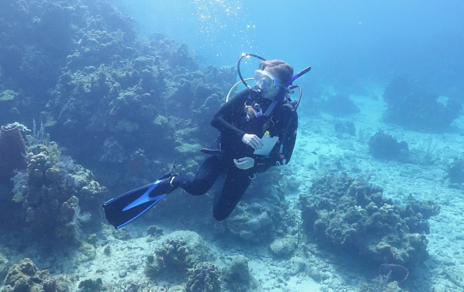Madison Emery diving