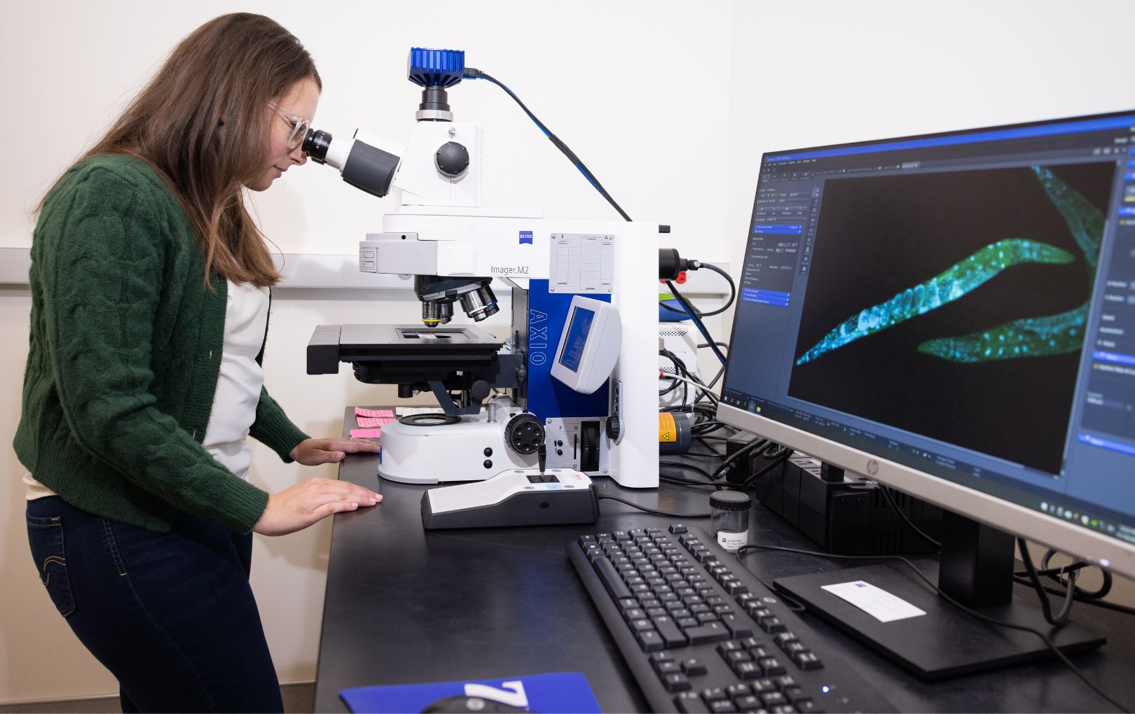 Alicia Rogers lab