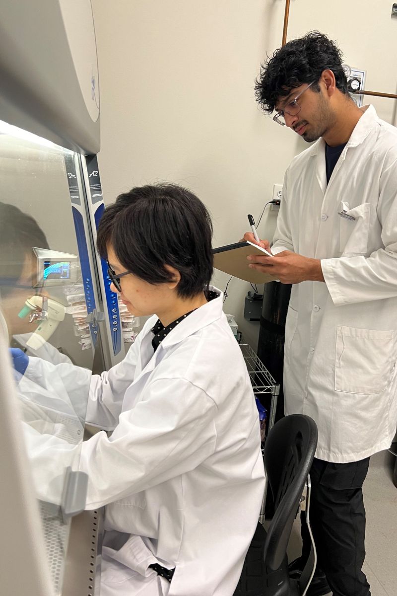 Zui Pan cell culture