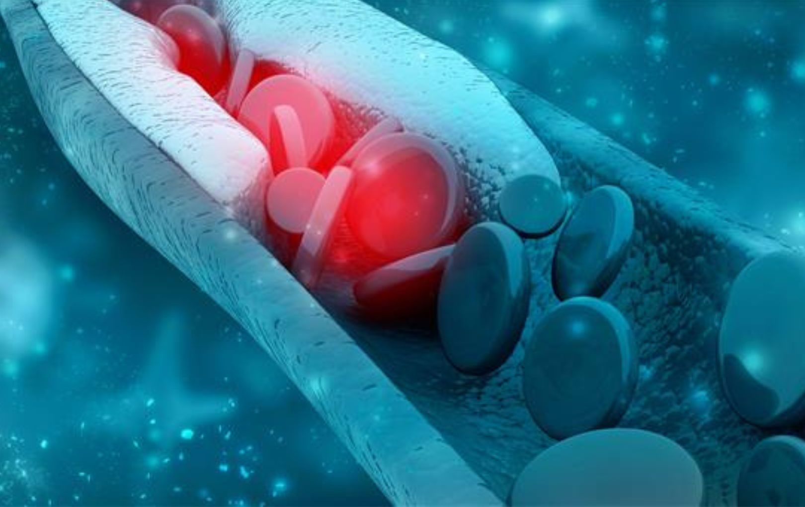 cholesterol stock photo