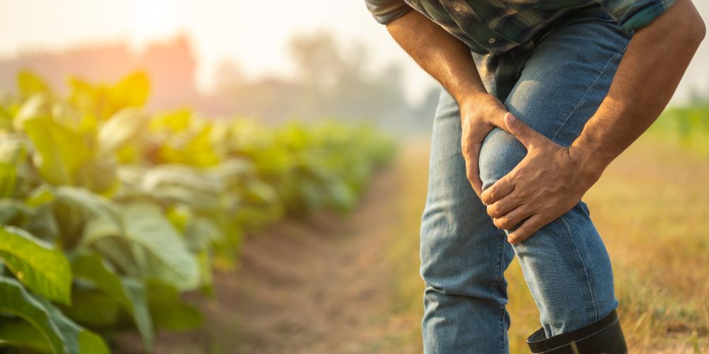 A UTA study found that chronic pain hits rural residents hardest
