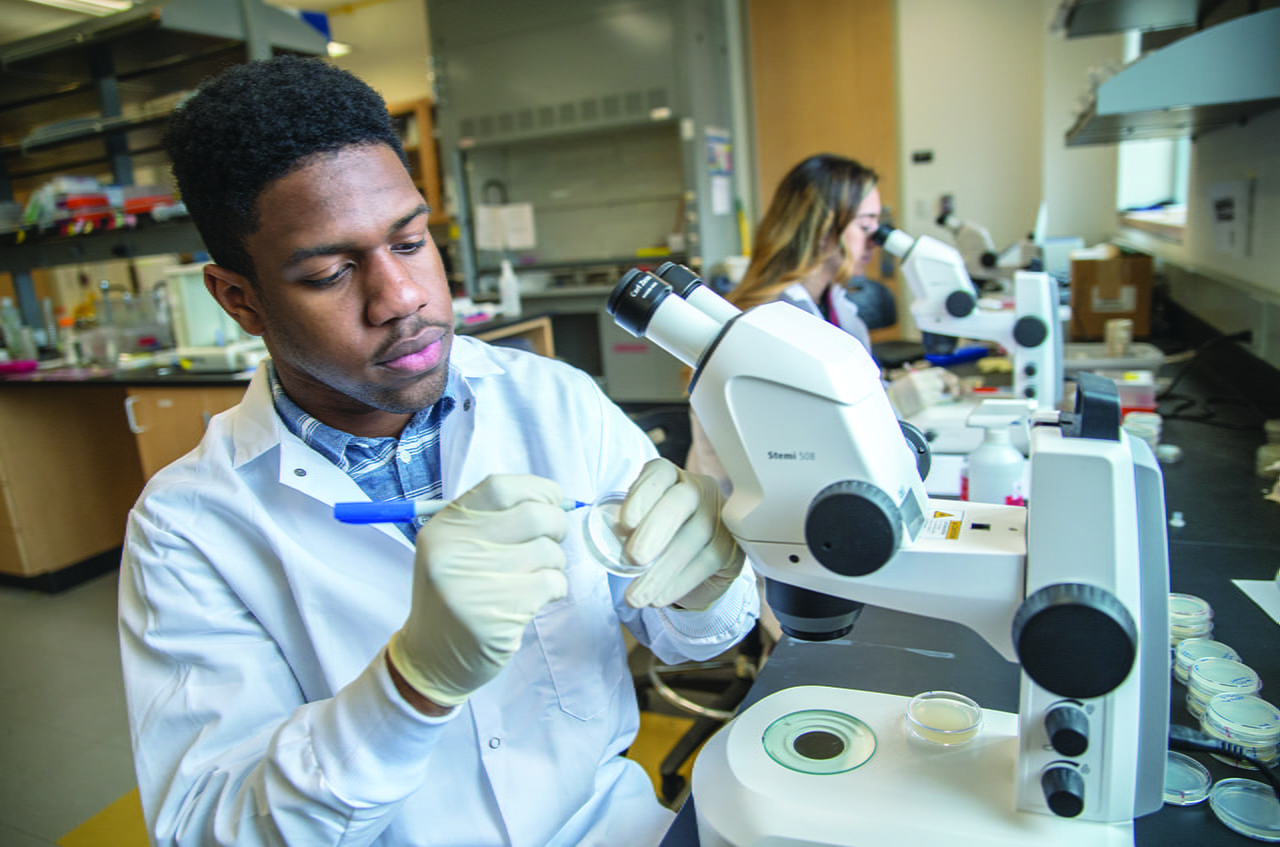 student working on microscope