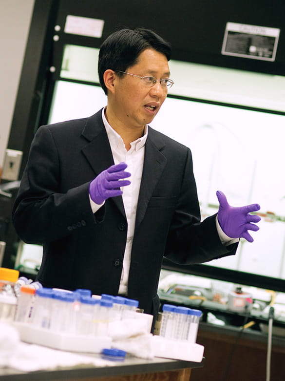 Wei Chen in lab