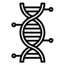 An outline drawing of a DNA strand