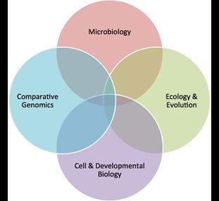 biology research groups