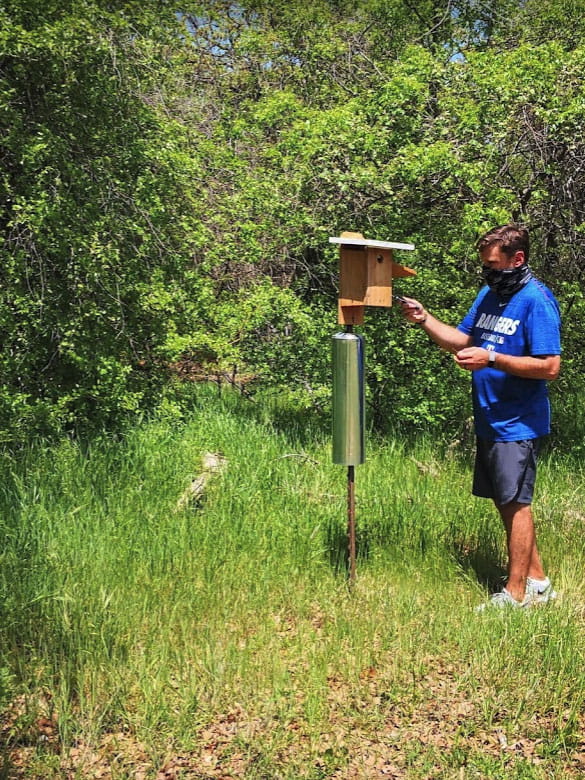 Bluebird nest monitoring at Randol Mill Park
