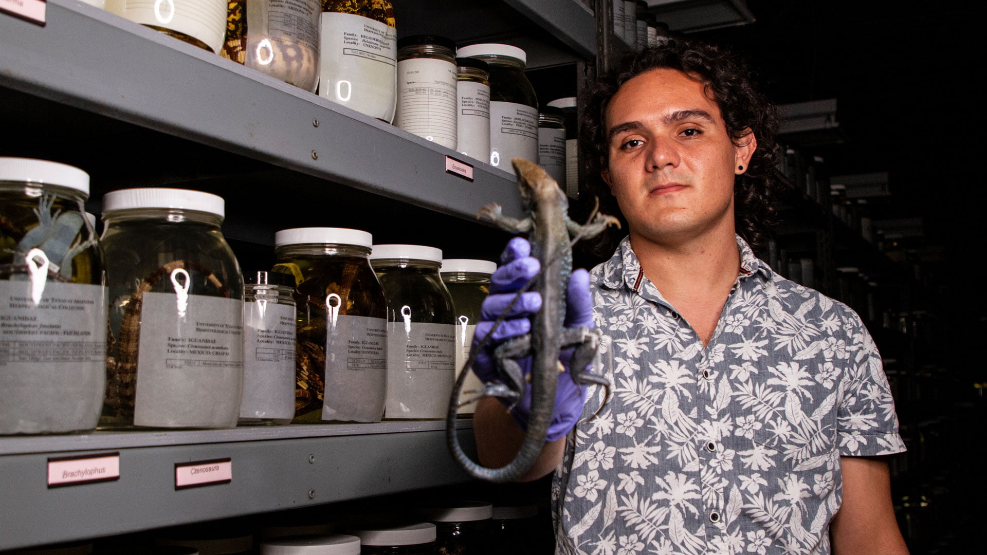  Cristian Hernandez, College of Science biology doctoral student 