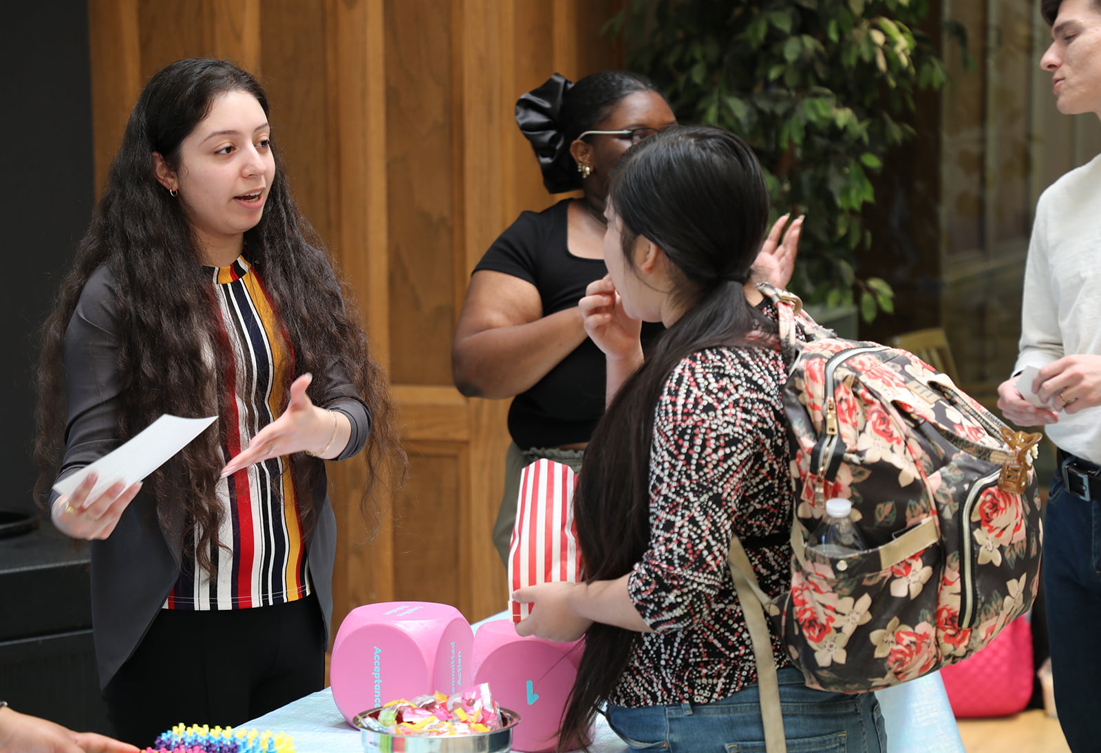 Mental Wellness Fair