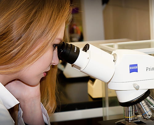 A female graduate student in psychology uses a microscope in a laboratory.
