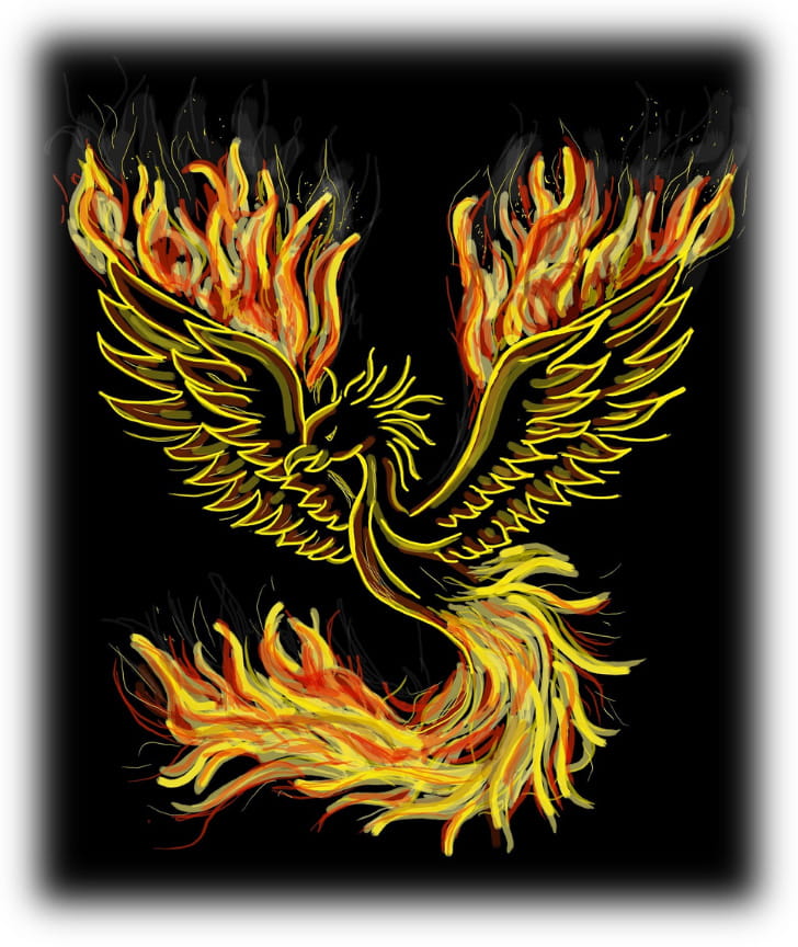 As a Phoenix Rises from the Ashes