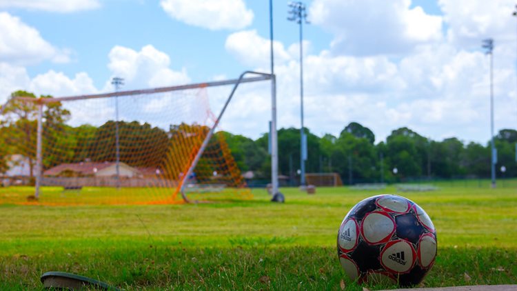 One of the soccer fields of the Fields Complex with a soccerball and a net