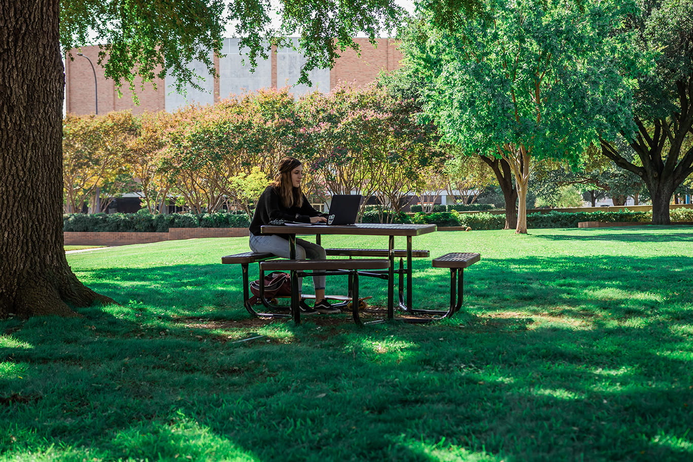 A person sitting on a bench with a computer
