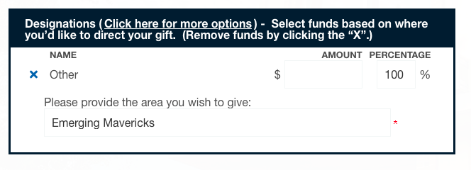 Step 4 of donation process